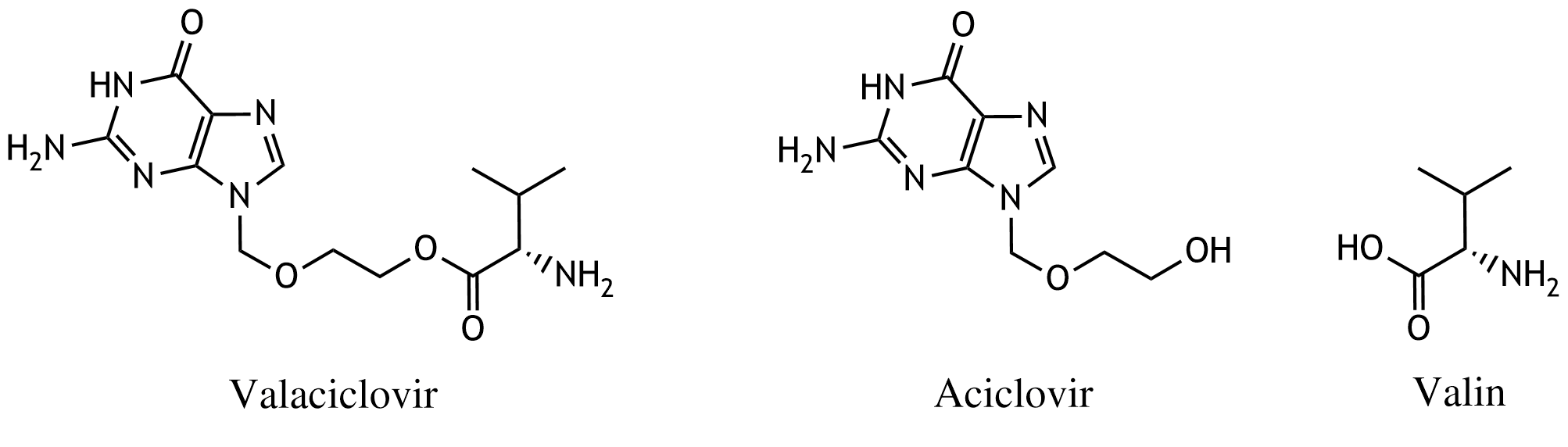 <p>12. To increase the bioavailability of the antiviral drug acyclovir, which belongs to the group of nucleoside analogs, it is administered as the prodrug valacyclovir, a compound formed with the amino acid valine. In the human body, this compound is cleaved into acyclovir and valine. This reaction is a:</p><p>A. Elimination</p><p>B. Homolysis</p><p>C. Hydrolysis</p><p>D. Condensation</p><p>E. Esterification</p>