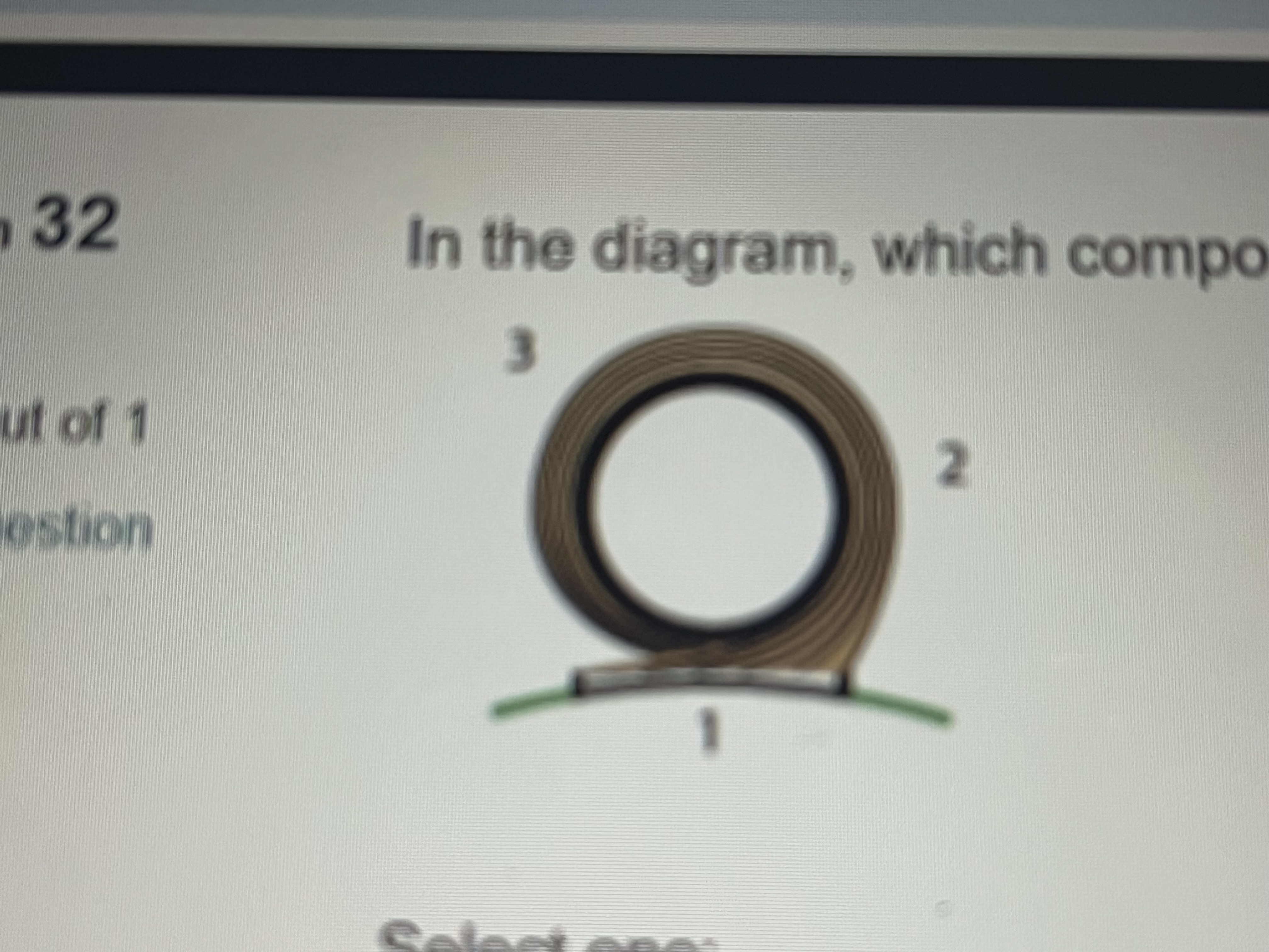 <p>In the diagram, which which component of the curl does the number 1 indicate:</p>