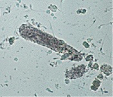 <p>What is this?</p>