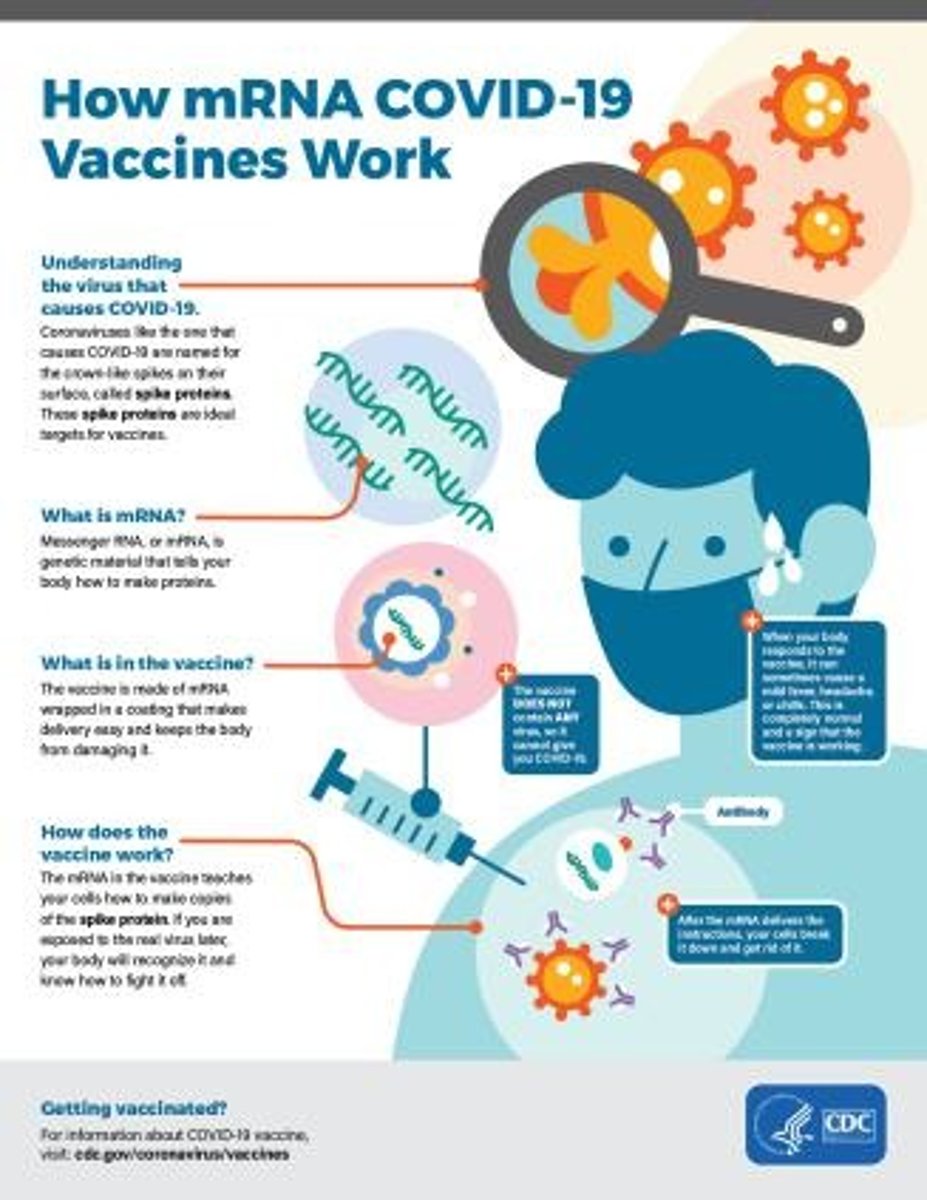 <p>Vaccines that use messenger RNA to instruct cells to produce a protein that triggers an immune response.</p>