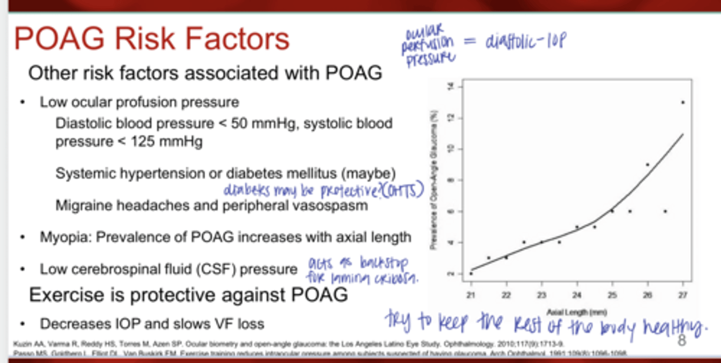 <p>Ocular Perfusion Pressure Equation</p>
