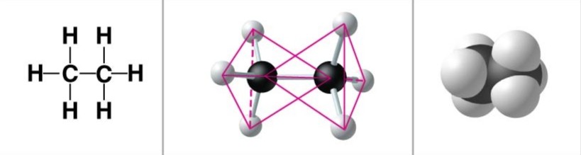 <p>Double bonds create _________.</p>