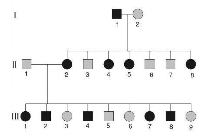 <p><span style="font-size: calc(var(--scale-factor)*26.04px);"><span>This pedigree shows a family afflicted with a rare genetic disease. The circles</span></span><span><br></span><span style="font-size: calc(var(--scale-factor)*26.04px);"><span>represent females, squares represent males, and individuals with solid black</span></span><span><br></span><span style="font-size: calc(var(--scale-factor)*26.06px);"><span>symbols show clinical signs of the disease. The genetic mode of inheritance</span></span><span><br></span><span style="font-size: calc(var(--scale-factor)*26.04px);"><span>that is most consistent with this pedigree is:</span></span></p>