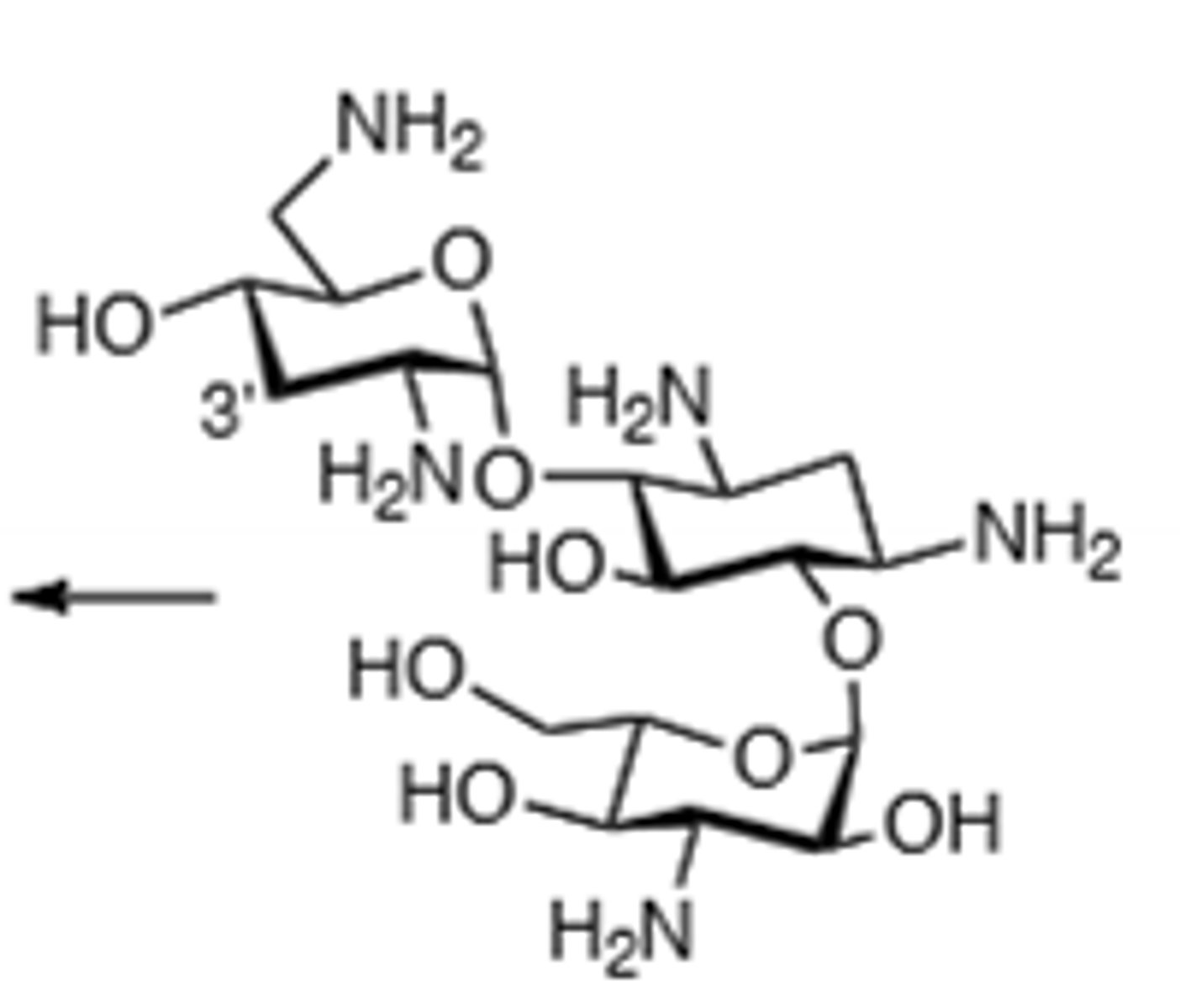 <p>Aminoglycoside, lacks a 3' hydroxyl group, so it cannot be phosphorylated at that position, treats gentamicin-resistant infections, broad spectrum. Ototoxic, nephrotoxic, can induce neuromuscular blockade, binds to 30S subunit and cause a frame shift mutation, inactivated by acetylation, adenylation, and phosphorylation, displace Mg and Ca ions to make membrane more permeable in gram (-), do not mix with penicillin, toxicity more likely if treatment exceeds 5 days, teratogen. Does not undergo phosphorylation</p>