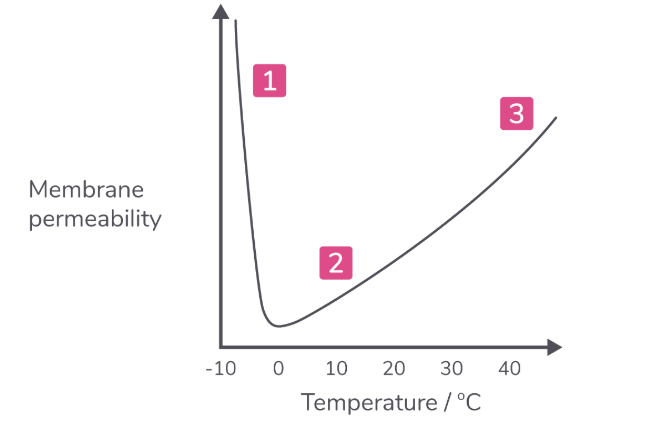 <p>What is happening at point 1 of this graph?</p>