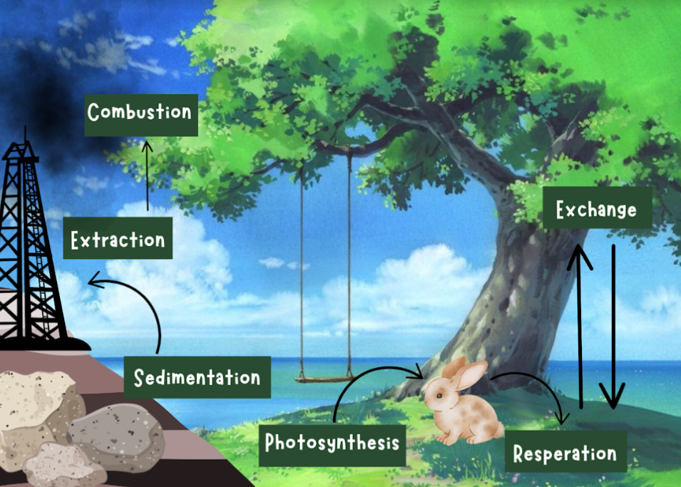 <p>1) Fixation 2) Nitrification 3) Assimilation 4) Ammonification 5) Denitrification</p>