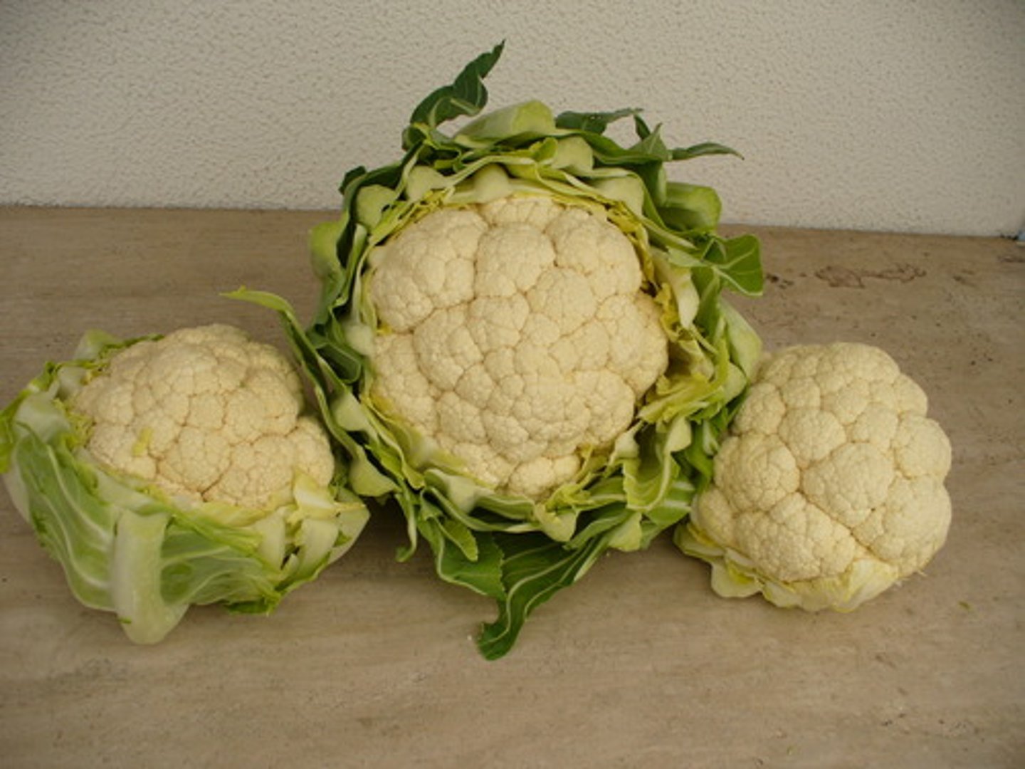 <p>cauliflower</p>