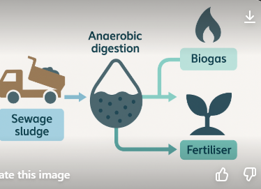 <p>Fertiliser, biogas for (renewable)energy, improving soil in land restoration.</p>