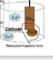 <p>-negative pole</p><p>-r<strong>eduction</strong> reaction</p><p>-Gain of electrons</p><img src="https://knowt-user-attachments.s3.amazonaws.com/9d9e42af-7481-4409-bf60-f66e9fc2a92c.png" data-width="75%" data-align="center" alt="knowt flashcard image"><p></p>