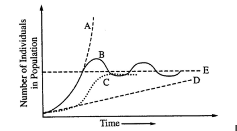 <p><span style="background-color: transparent;"><span>Which curve represents the maximum number of individuals that can be supported by a particular ecosystem on a long-term basis?</span></span></p>