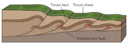 <p>Often occur at margins of mountain belts</p><ul><li><p>Fault slices stacked one on top of the other</p></li><li><p>Process acts to shorten and thicken crust</p></li><li><p>Due to horizontal compression</p></li><li><p>Piggy-back thrusting</p></li></ul><p></p>