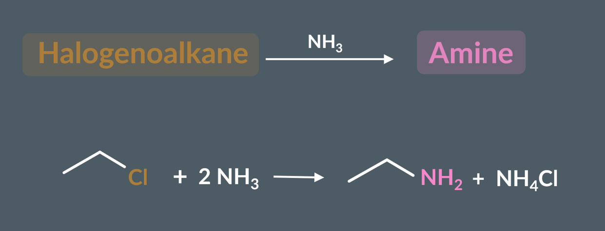 <p><span>nucleophilic substitution reaction</span></p>