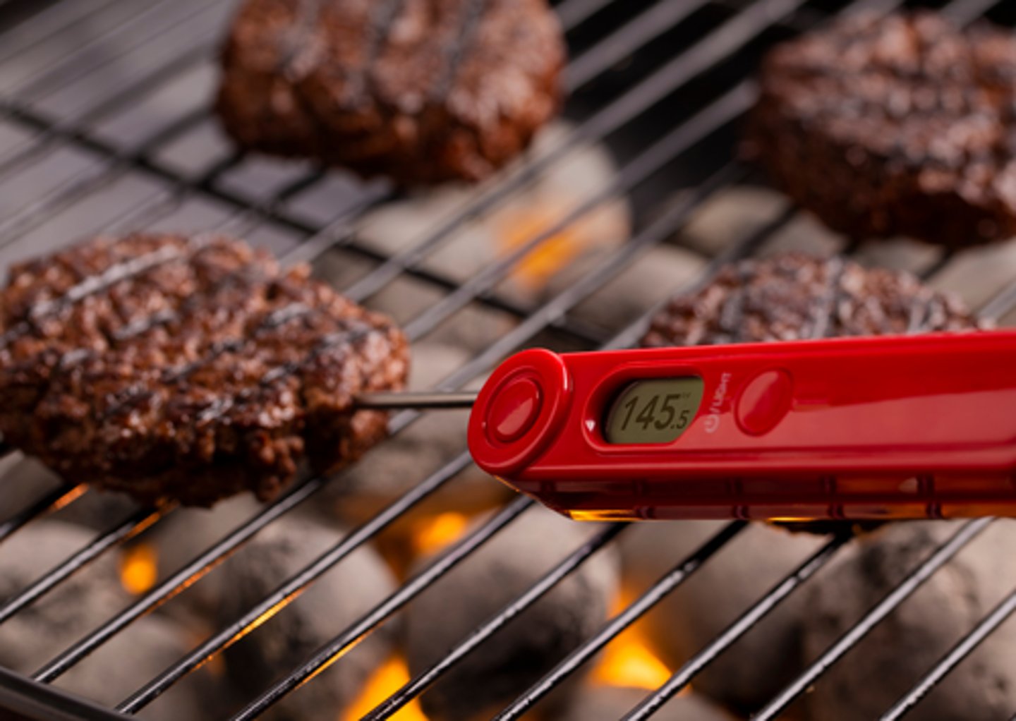 <p>a tool used to check the inside temperature of meat to see if it is cooked.</p><p>She used a _________ to check if the chicken was cooked inside.</p>