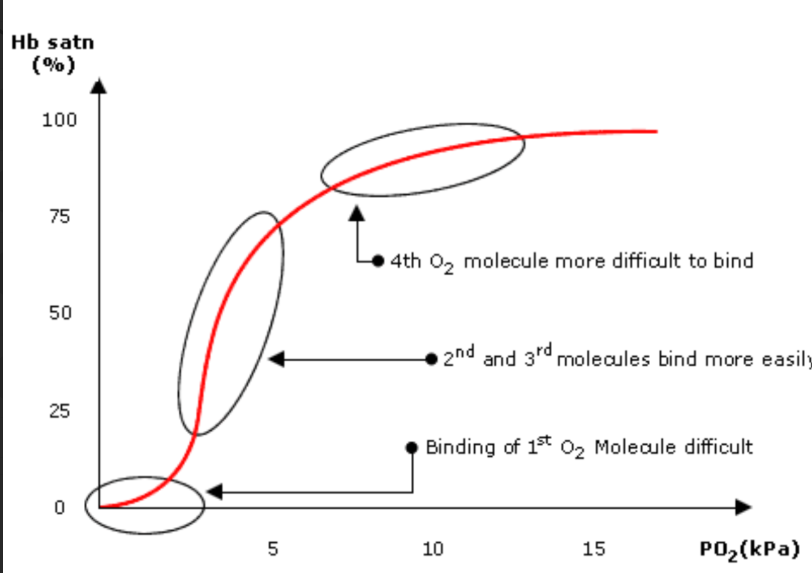 oxygen dissociation curve detailed