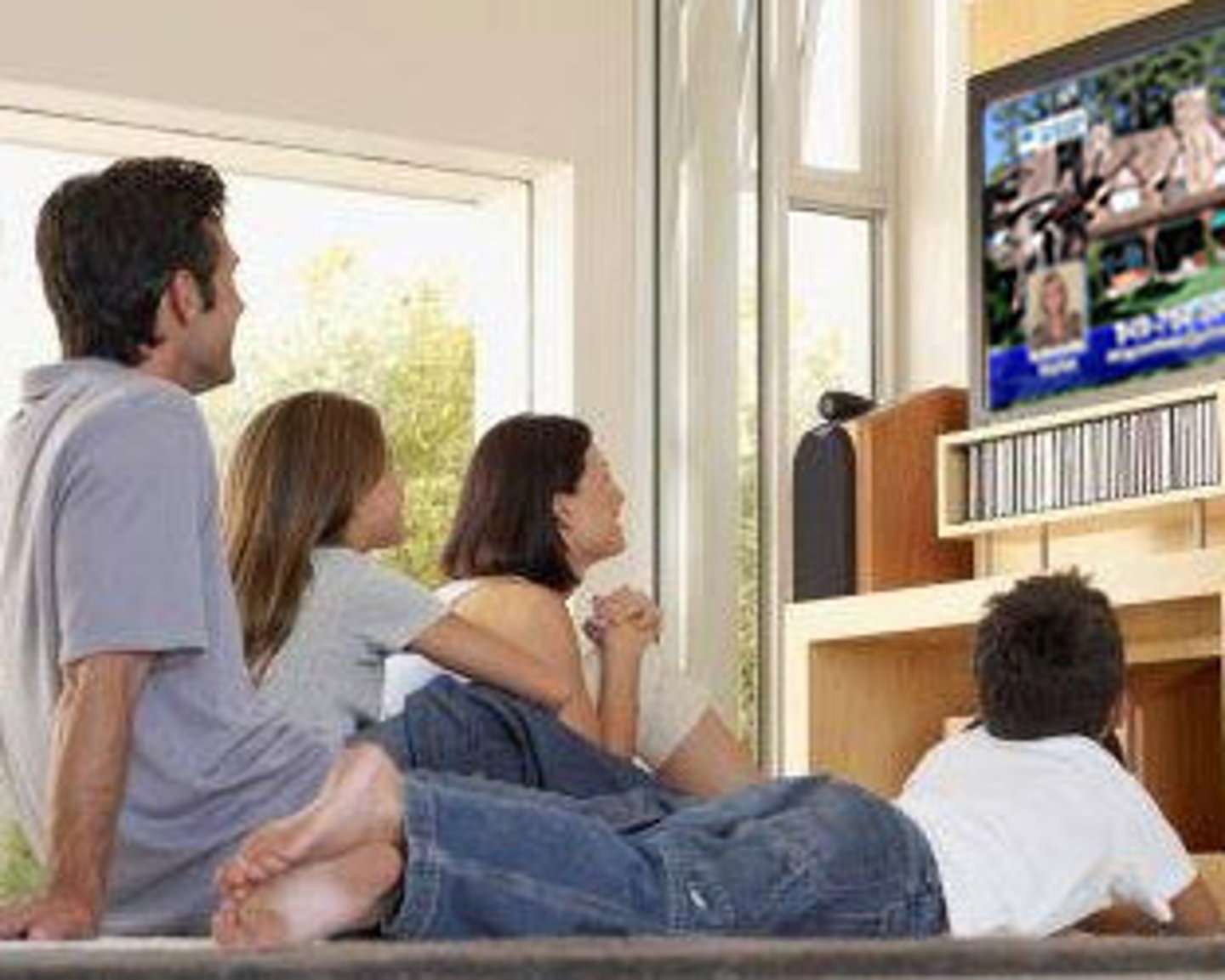 <p>television viewer</p>