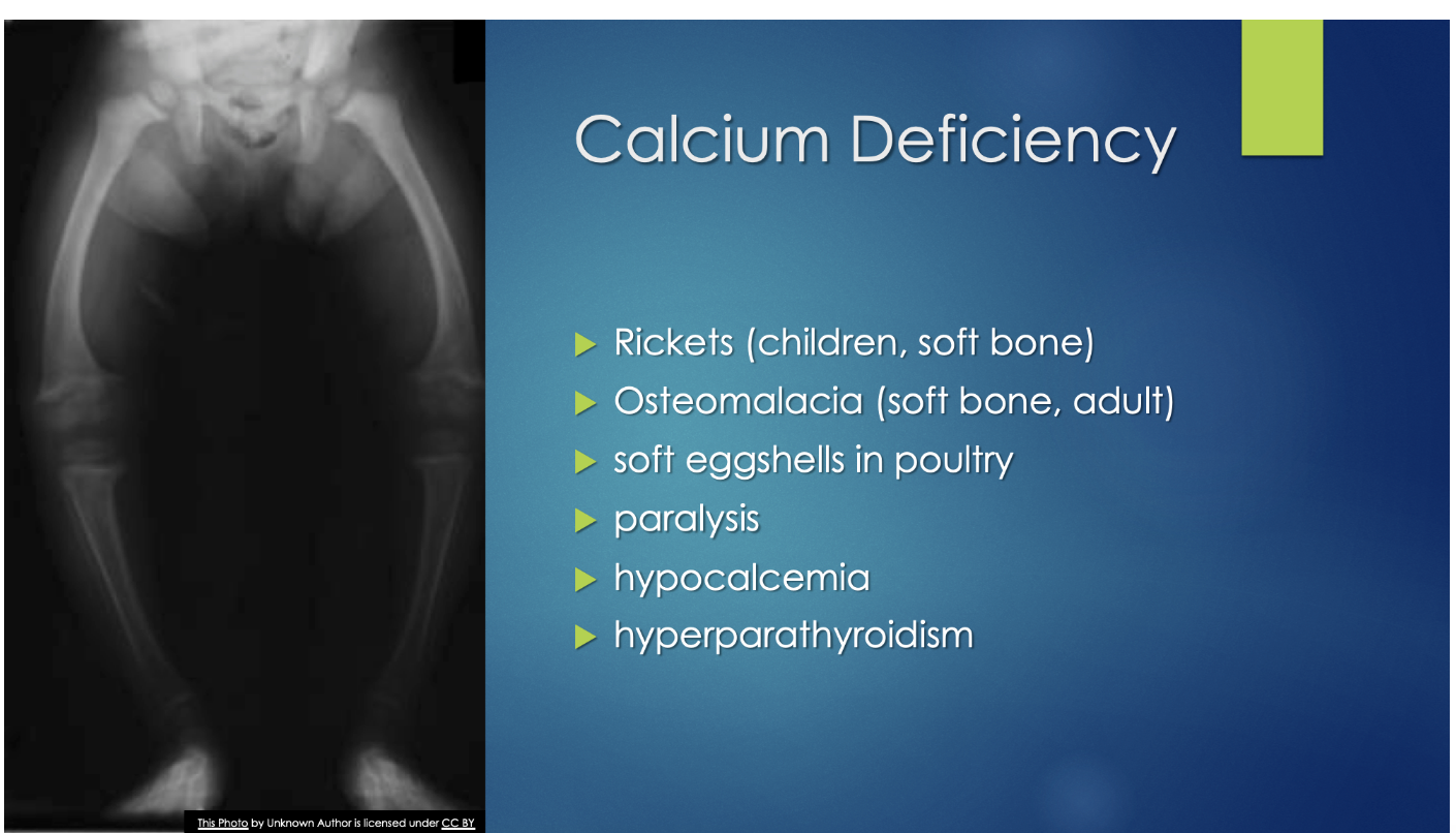 <ul><li><p><u><strong><em>Low serum calcium</em></strong></u> results in increases of parathyroid hormone and calcitriol levels to increase blood calcium from bone and kidney and GI tract absorption.</p></li><li><p><u><strong><em>High serum calcium</em></strong></u> results in stimulation of calcitonin that works to reduce blood calcium levels.</p></li></ul>