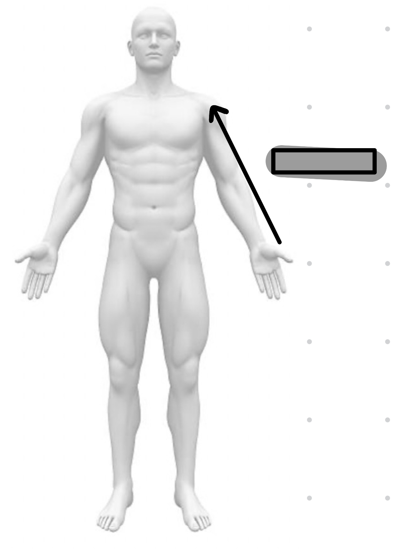<p>closer to axial skeleton</p>