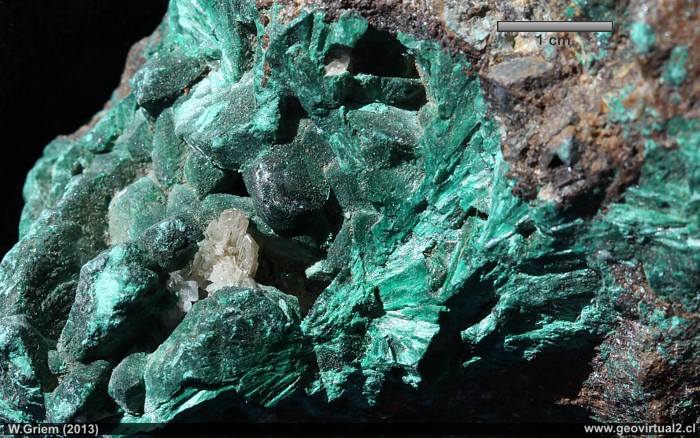 <p>Color verde intenso y brillante muy característico, frecuentemente con patrones de bandas concéntricas de diferentes tonos de verde. Hábito usualmente botrioidal (arracimado), fibroso o masivo. Opaca. Reacciona con ácido. Dureza 3.5-4.</p>