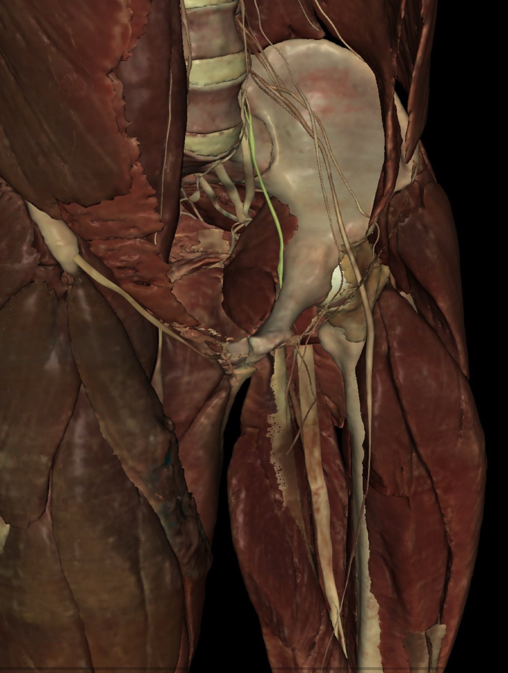 <p>Identify the Structure</p>