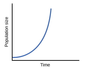 <p>s shaped curve&nbsp;</p>