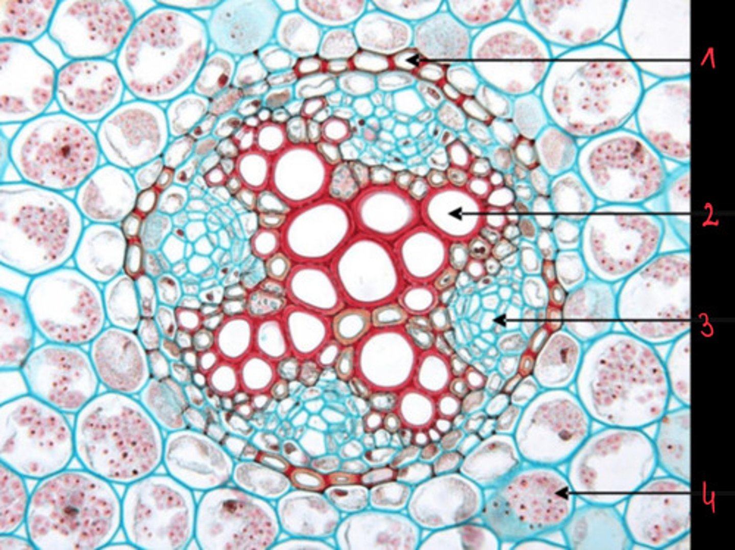 <p>2</p>