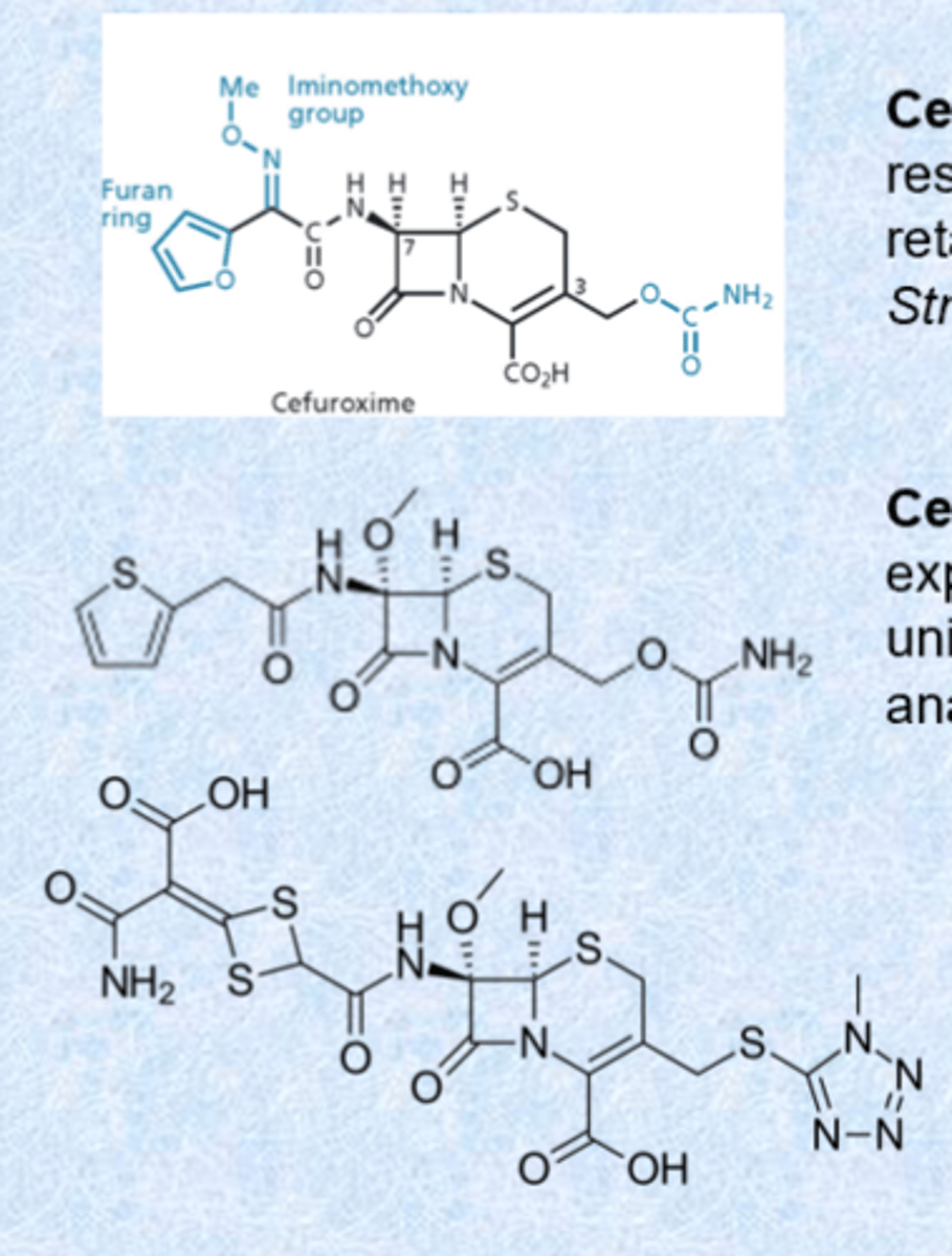 <p>- cefuroxime has increased resistance to beta-lactamases, retains activity against Streptococci</p><p>- cefoxitin and cefotetan have expanded spectrum and are unique in having activity against anaerobic bacteria - given IV/IM</p><p>- cefotetan has an N-methylthiotetrazole ring which is a breakdown product and can cause hypoprothrombinemia</p>
