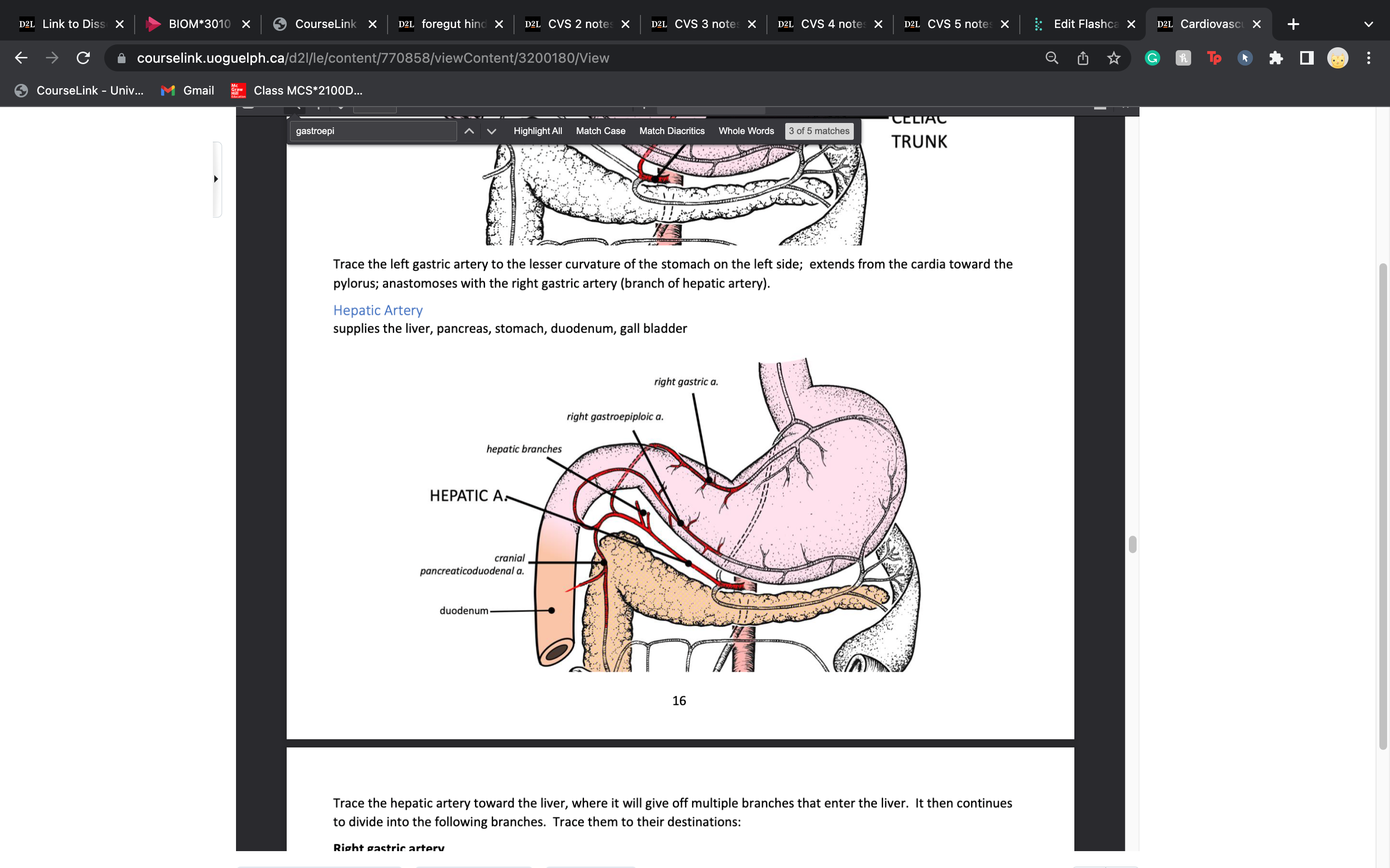 knowt flashcard image