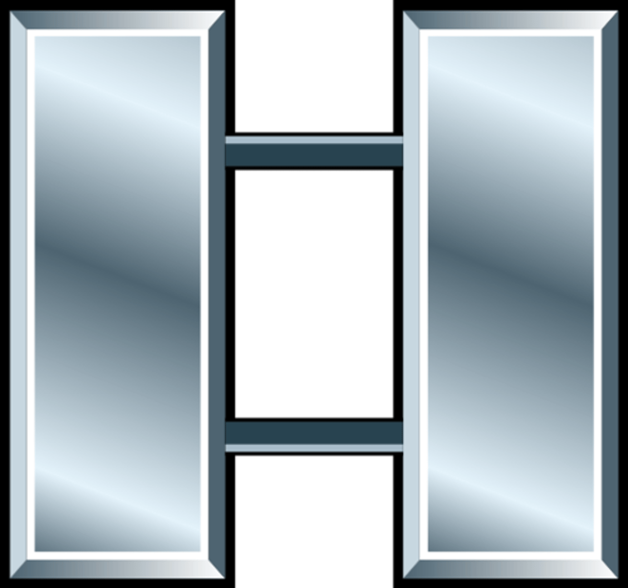 <p>Lieutenant (LT)</p><p>Two silver bars</p>