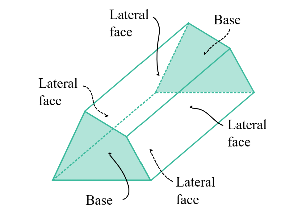 <p>A base is the “bottom” and “top” of a shape/prism. A shape will have a maximum of <strong>two </strong>bases.</p>