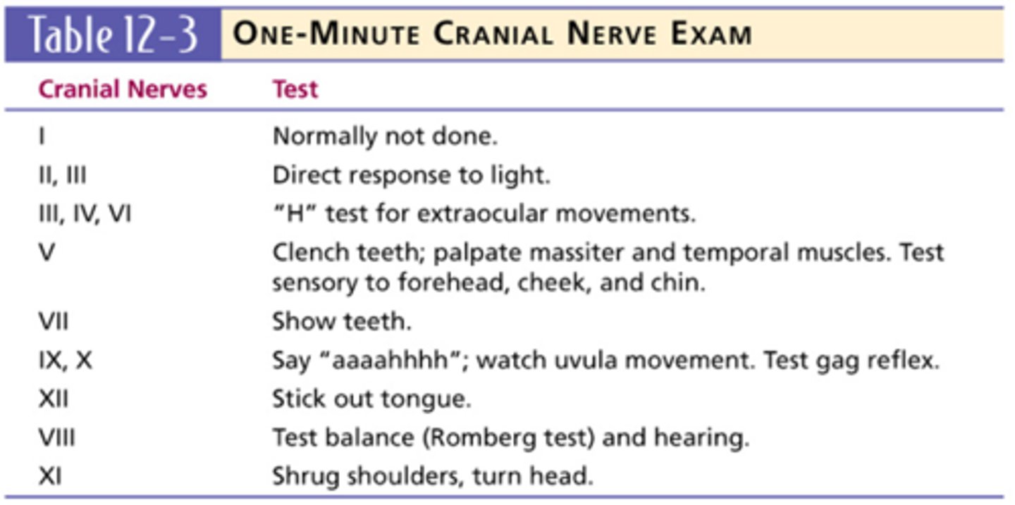 <p>major section of the neurological exam that assesses sensory and motor functions of the cranial nerves and their associated central and peripheral structures</p>