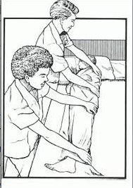 <p><span style="background-color: transparent;"><span>Logroll</span></span></p>