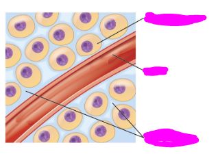 <p>Label the three covered things :)</p>