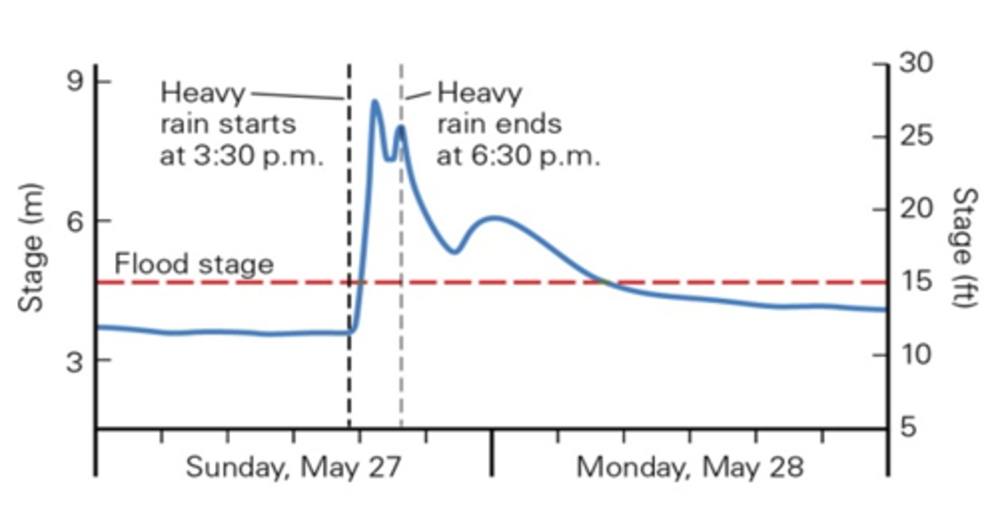 <p>a flash flood</p>
