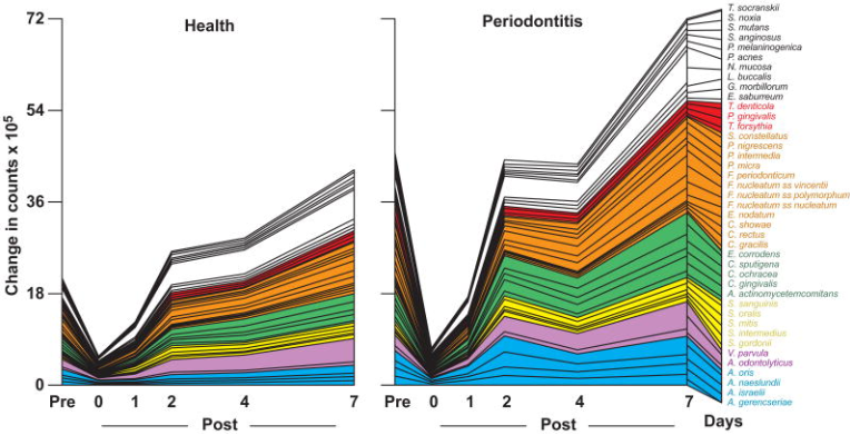 <p>what do these pictures show you?</p>