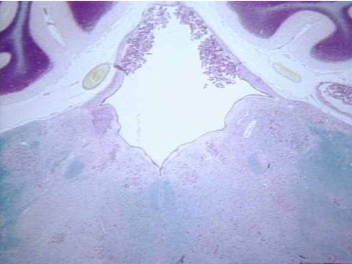 <p>What is this&nbsp;?</p>