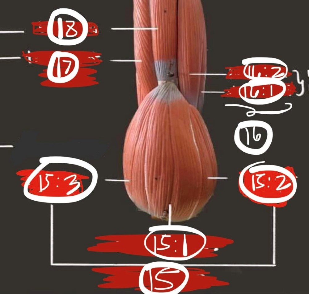 <p>side part number 16:1</p>