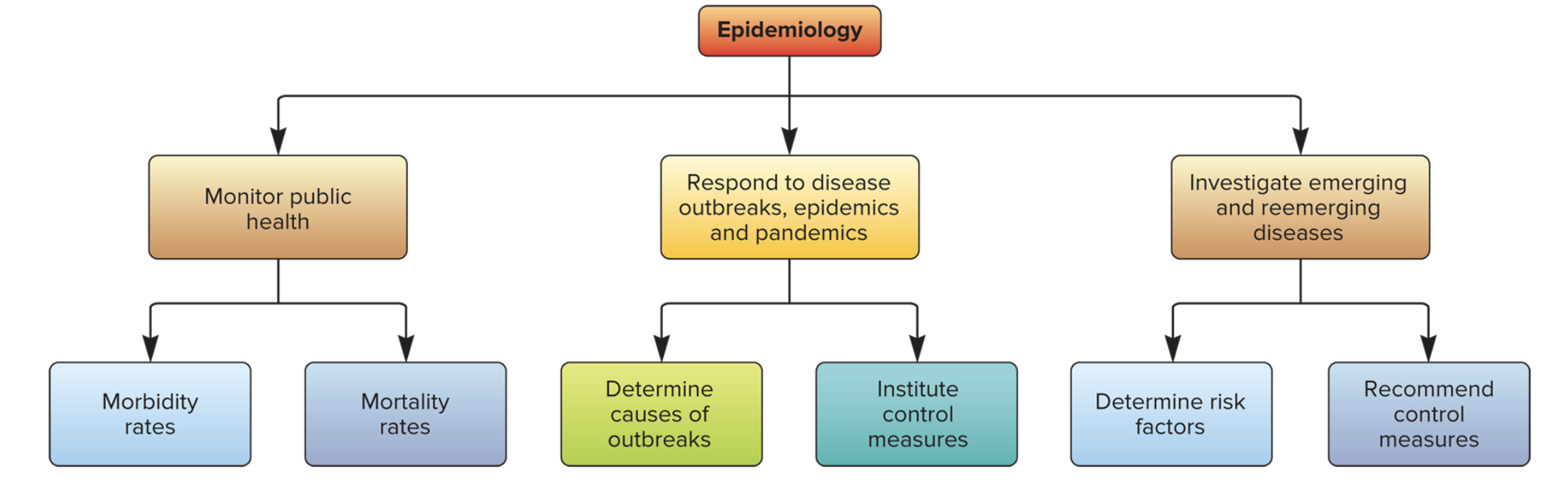 <p>it evaluates the occurence, determinants, distribution, and control of health and disease</p>