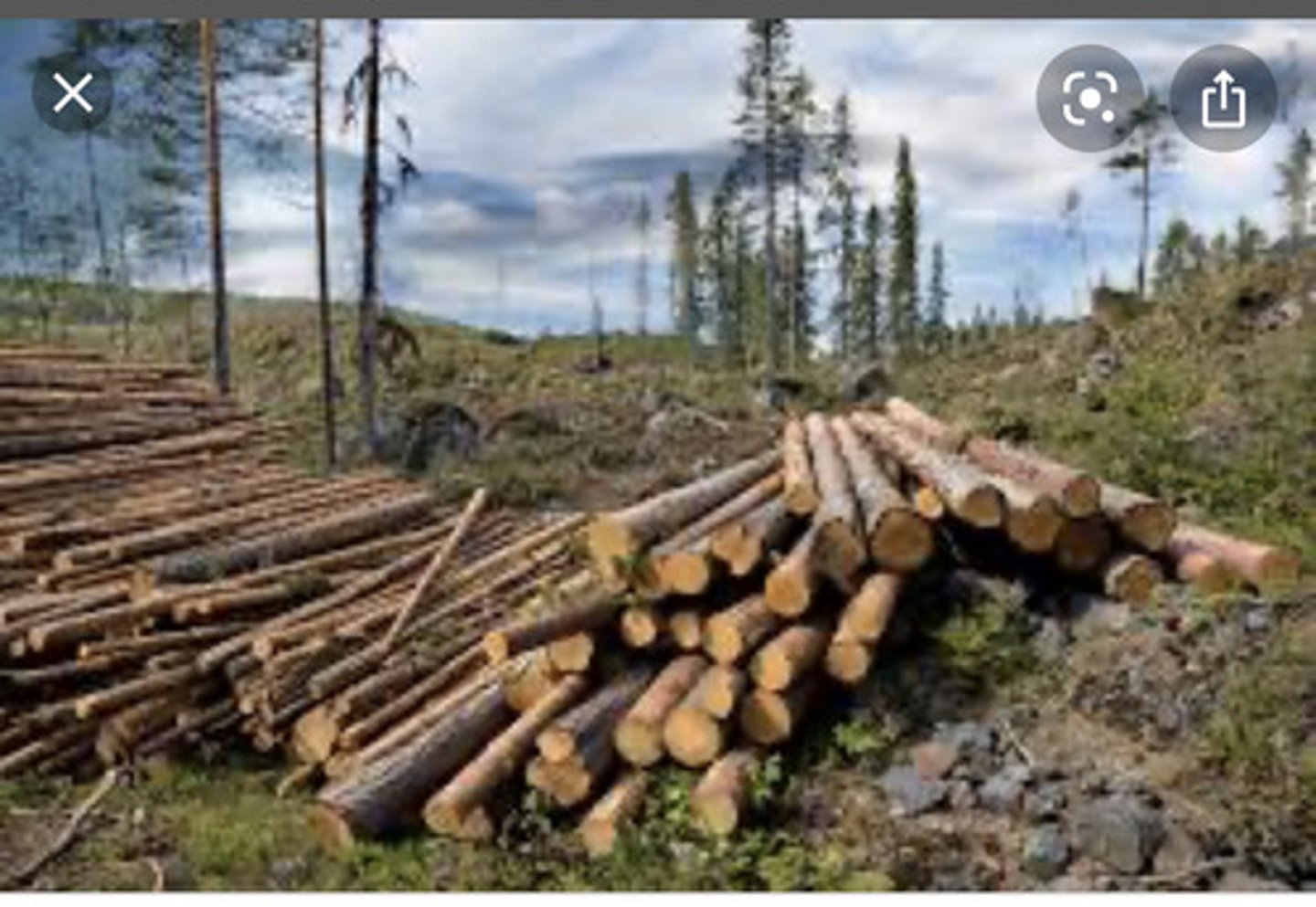 <p>làm cạn tài nguyên</p>