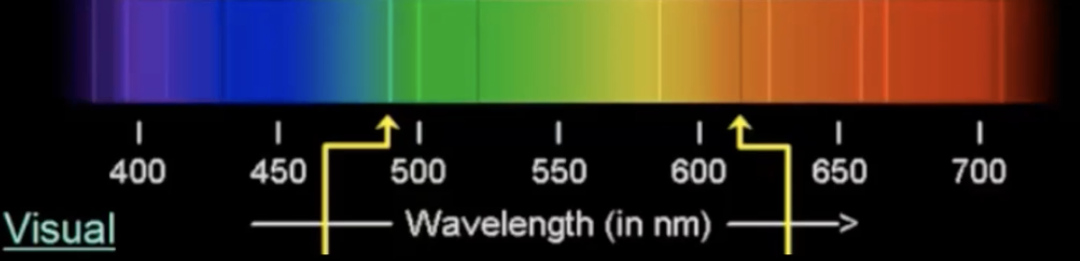 <ul><li><p>continuum light</p></li><li><p>emission line</p></li><li><p>absorption line</p></li></ul><p></p>