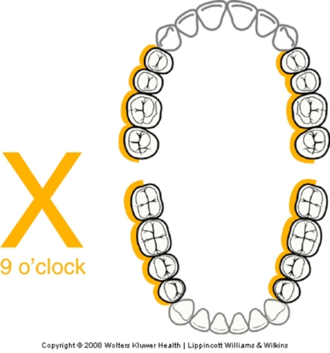 <p>9 o'clock</p>