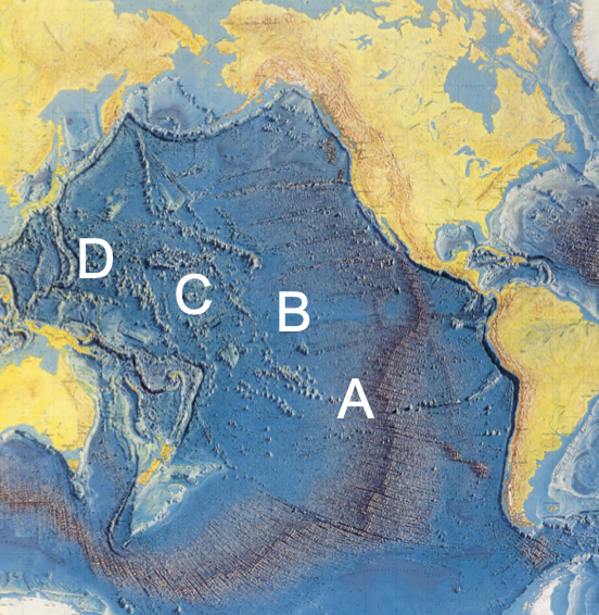 Where would you find the oldest and thickest sediments, and why?