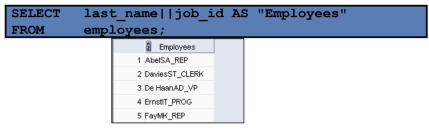 <p>Concatenation Operator</p>