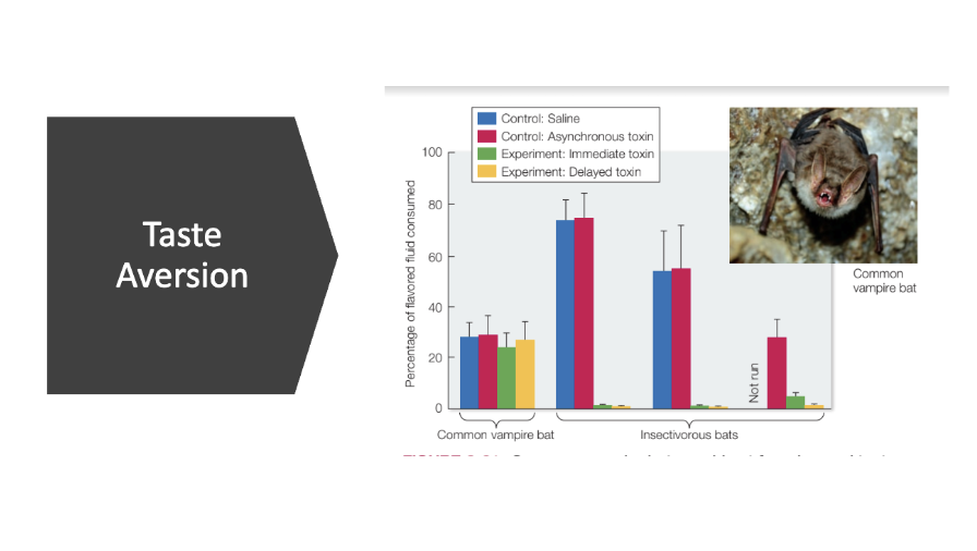 <p>Learning from bad experiences not to eat something because of a learned association with a taste or smell. </p>