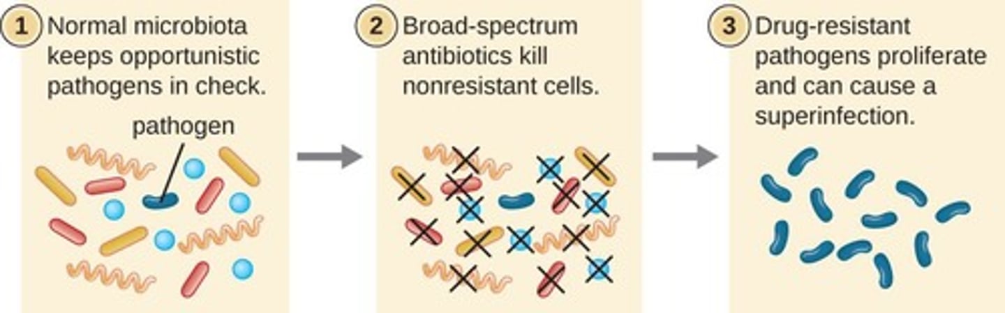 <p>Targets a wide variety of bacterial pathogens.</p>