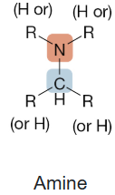 <p>Amine</p>