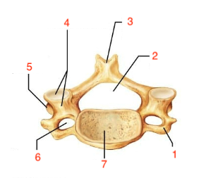 <p>what is #3</p>