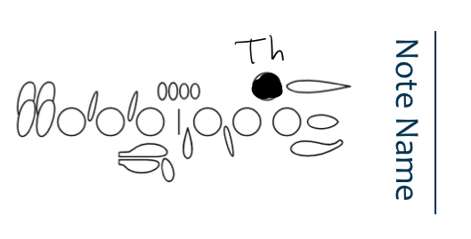 <p>F</p>