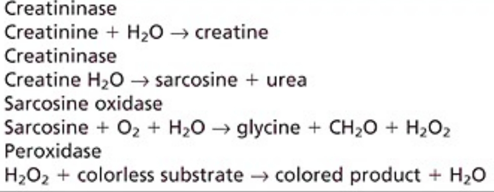 <p>Creatininase-H2O2</p>