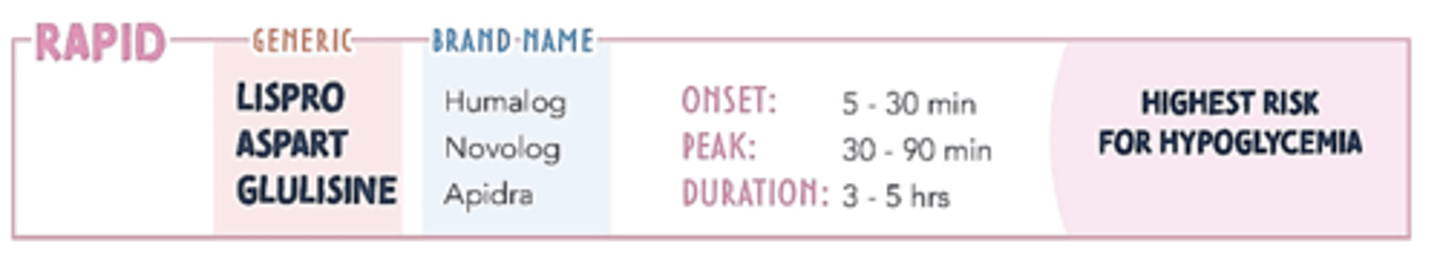 <p><strong>insulin lispro, aspart, glulisine</strong></p>