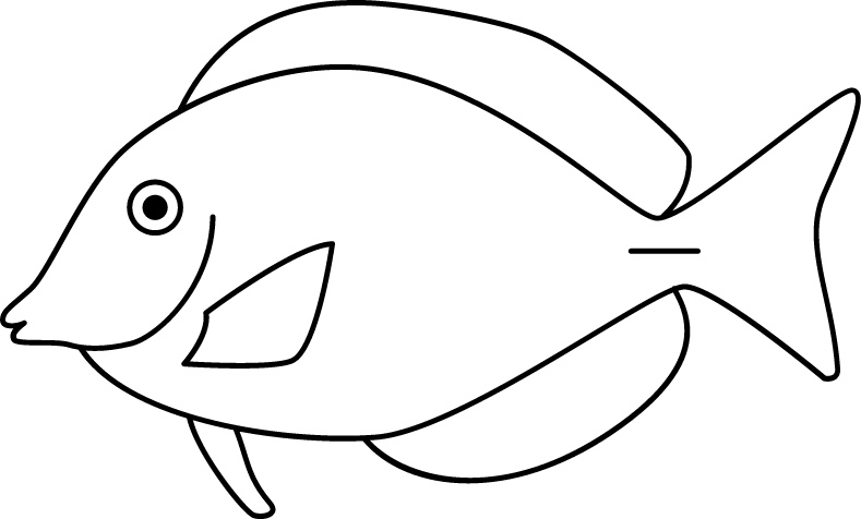 <p>Scalpel<br>Size: 40 cm</p>
